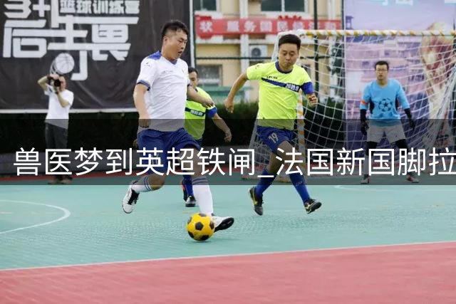 兽医梦到英超铁闸 法国新国脚拉克鲁瓦的蜕变之路